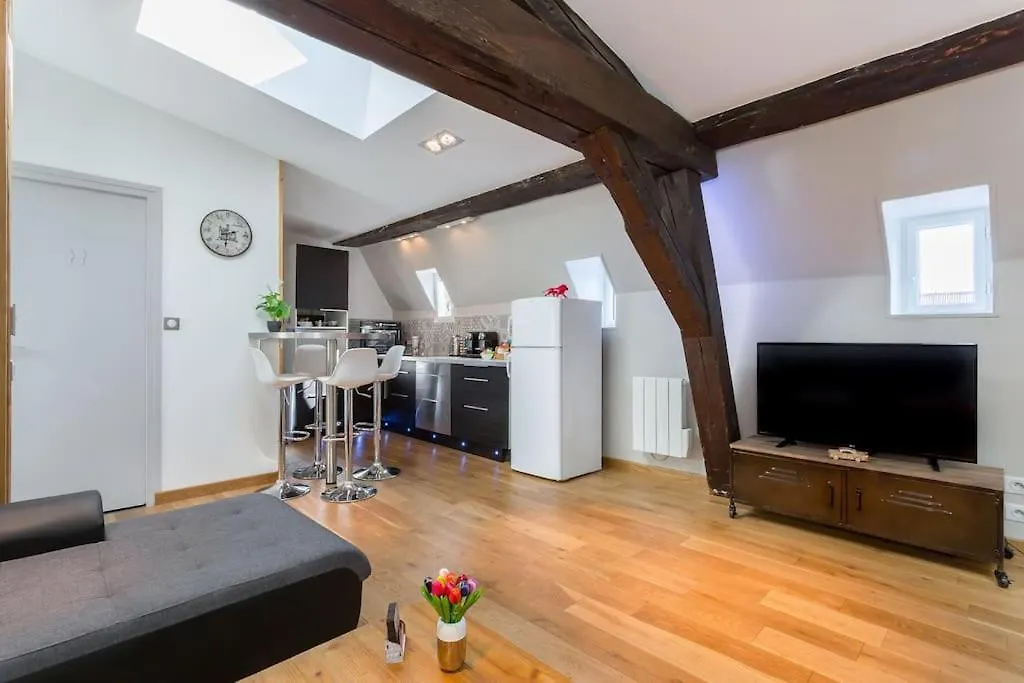 Loft De Charme Proche Hotel-De-Ville - Lyon 1Er